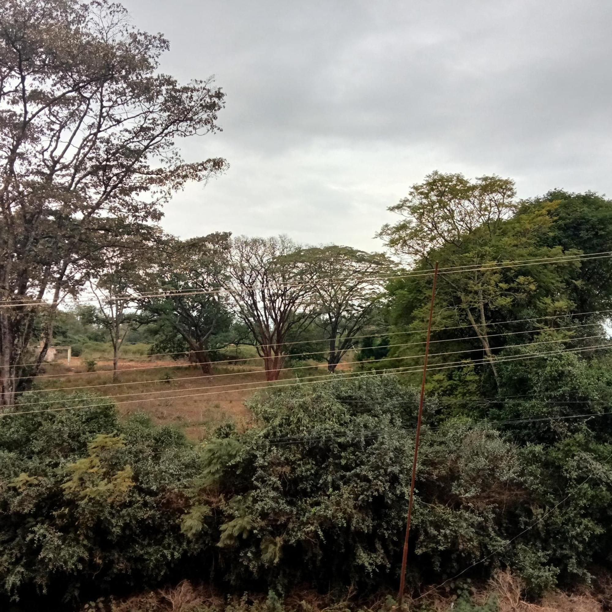 Ferienwohnung Jaymorgan' Cabins. Nyeri Zimmer foto